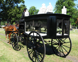 hearse being pulled by horses in michiana