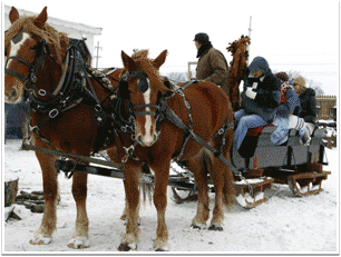 Horse Drawn Bobsled Ride - Fun in the snow!