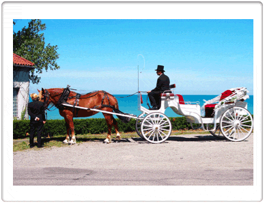 Horse Drawn Carriage Rides - All Around Michiana