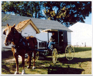 Horse Drawn Carriage Rides in Indiana and Michigan