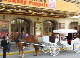 Horse drawn carriage in South Bend