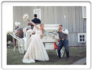 Horse Drawn Wedding Carriage - South Bend, Indiana